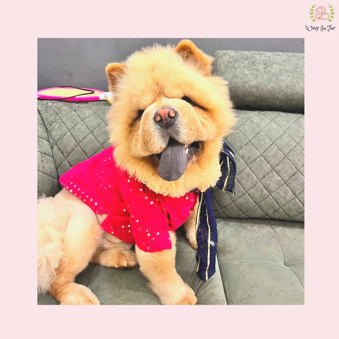 chow chow pink dog kurta