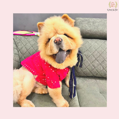 chow chow pink dog kurta