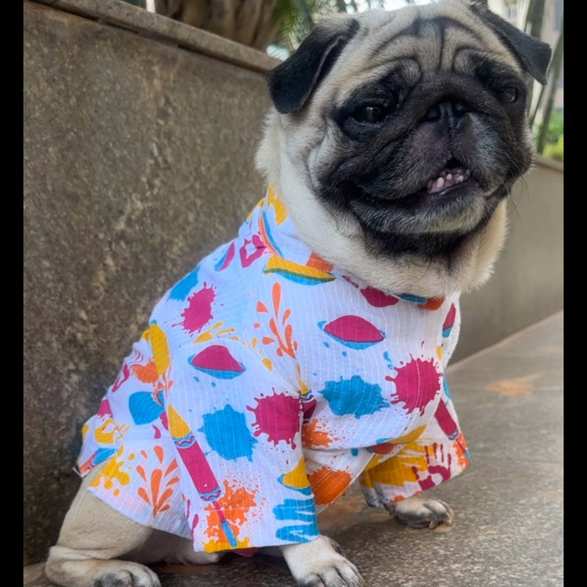 Blue Rangeen Kurta Twinning Set ( Dog kurta along with human kurta )