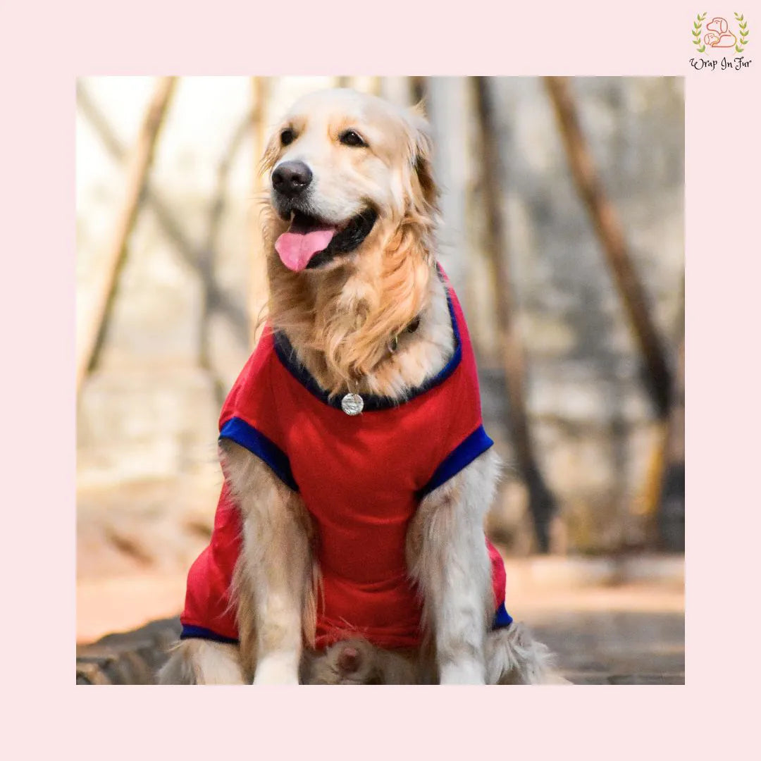 its rough being this cute tshirt for german shepherd