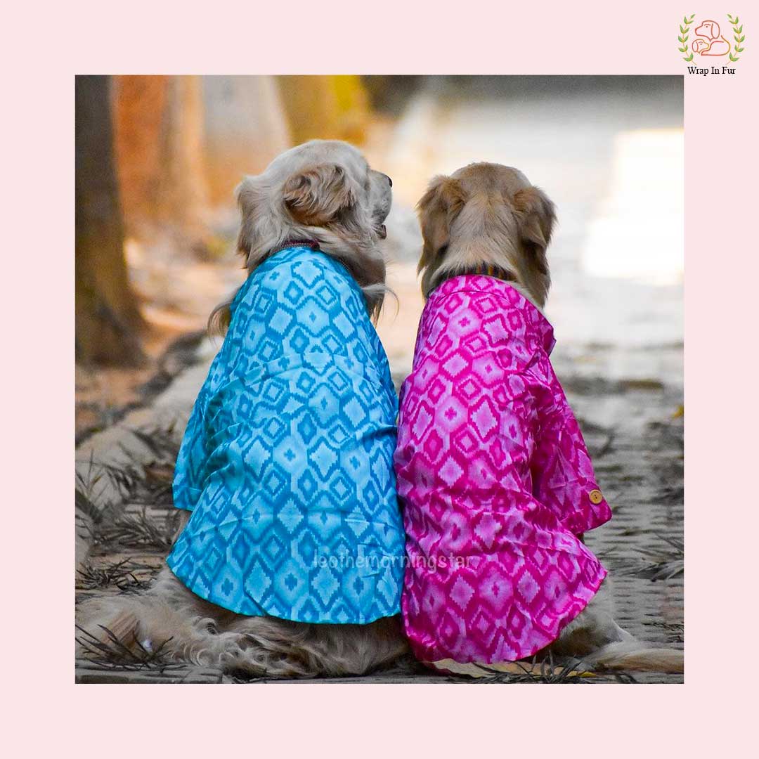 labrador pink blue Paradise kurta