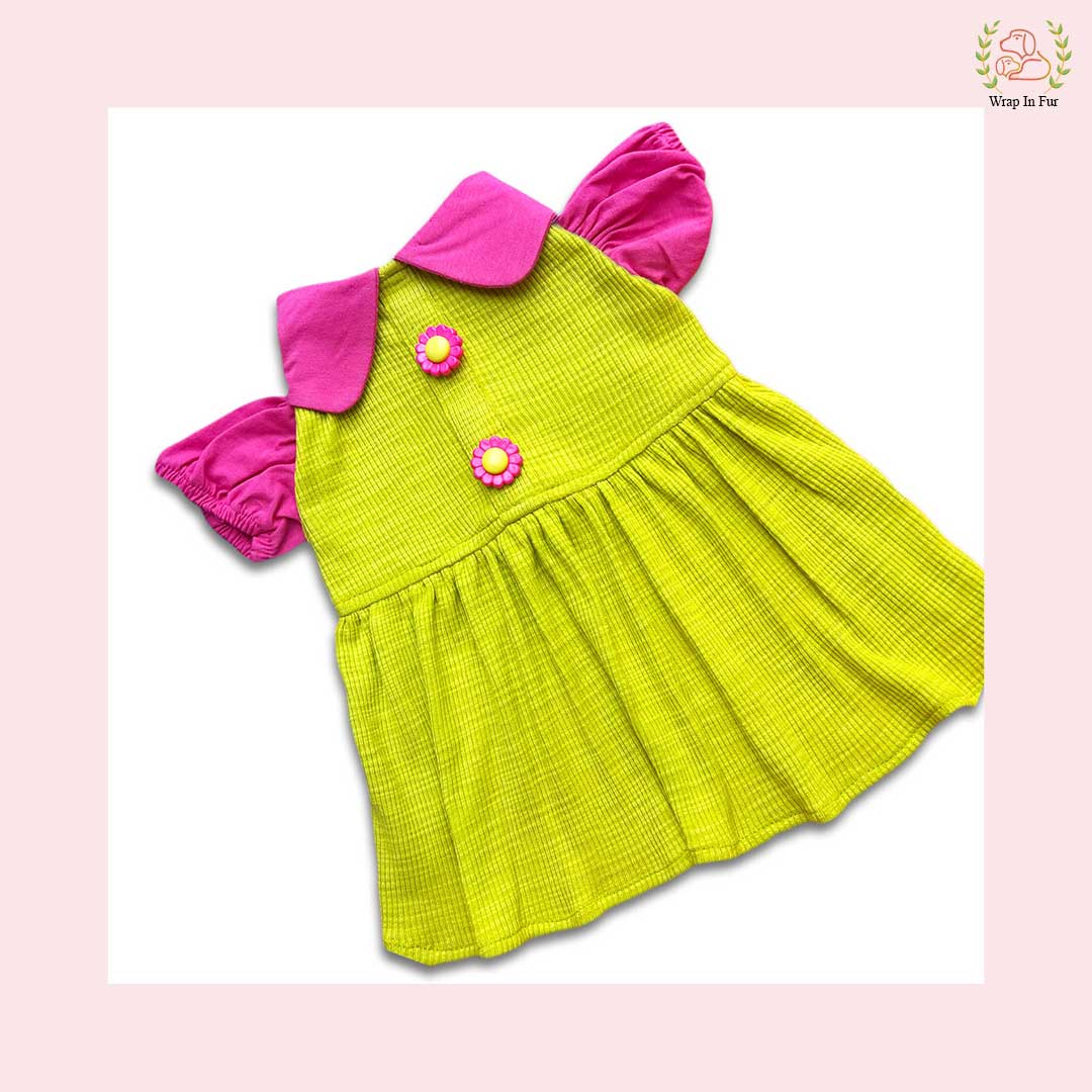 buy cute lemon dog frock online in India