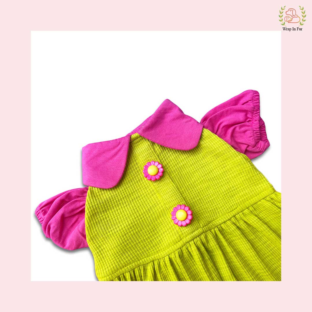 cute lemon dog frock for small dog
