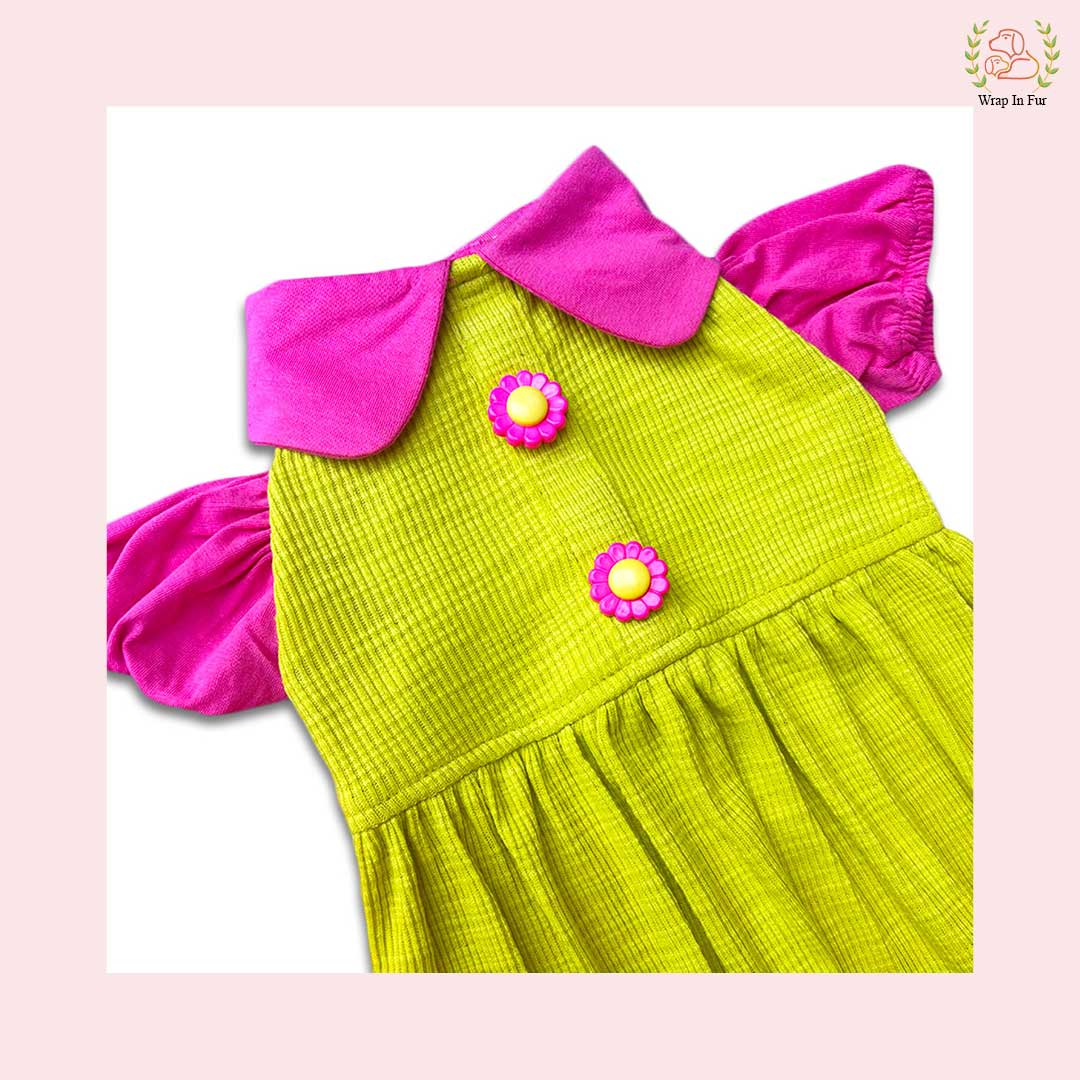 cute lemon dog frock for big dog