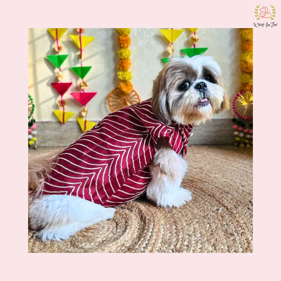 Maroon Golden Sherwani