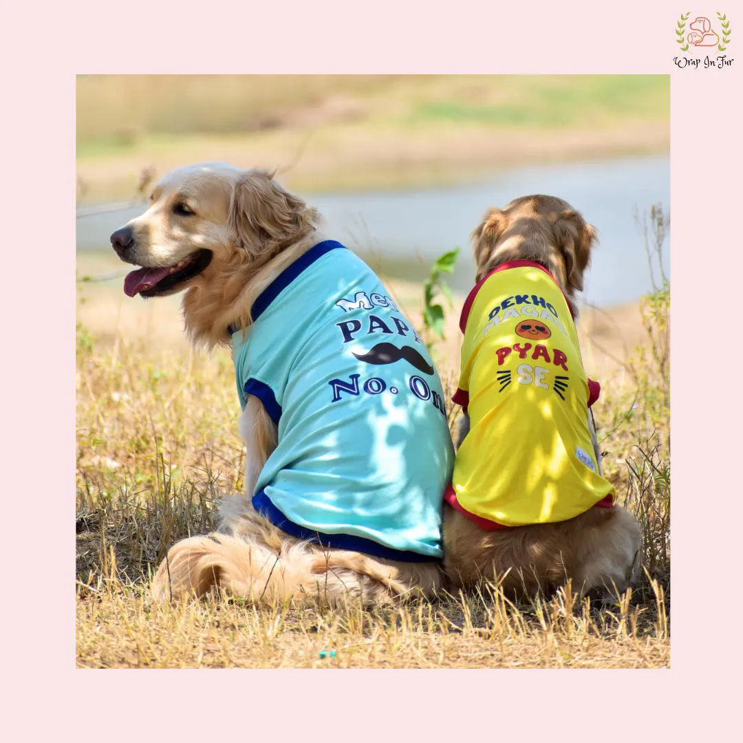 mere papa number one and dekho magar pyar se dog tshirt