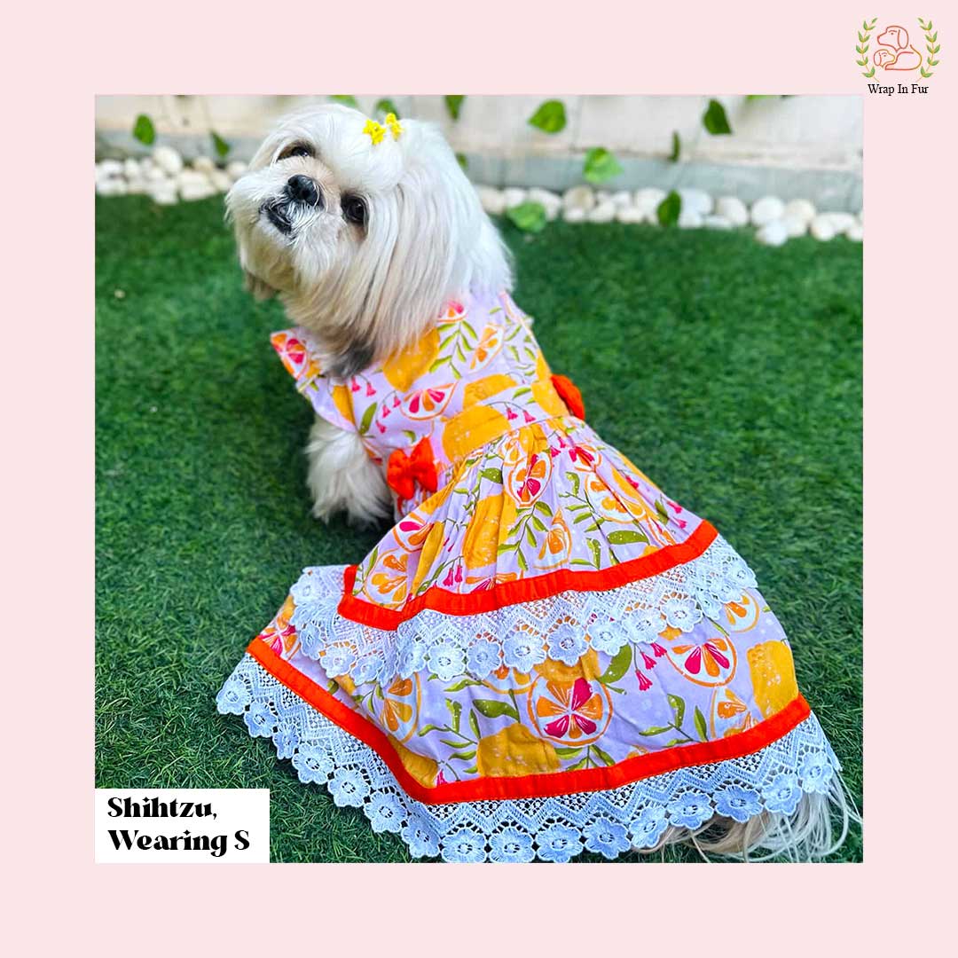 Tropical Orange Dog Frock