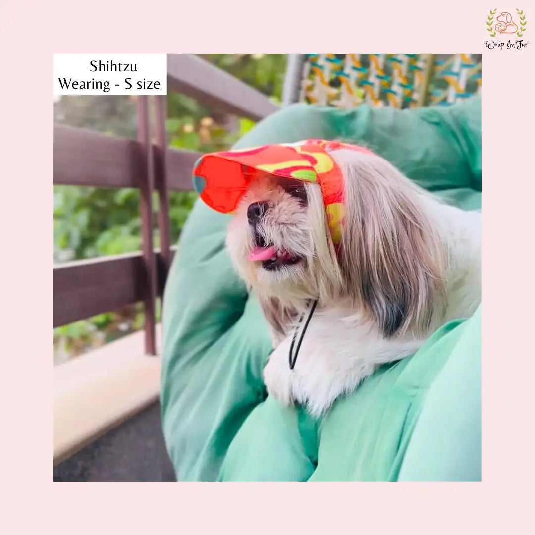orange neon dog cap for shihtzu