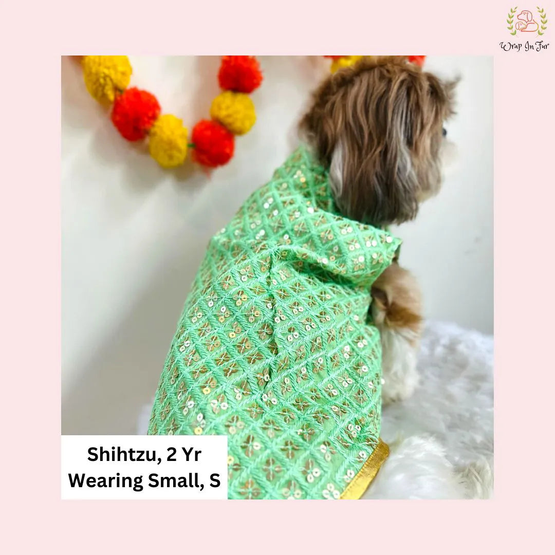 Wedding Green Golden Dog Sherwani for german shepherd