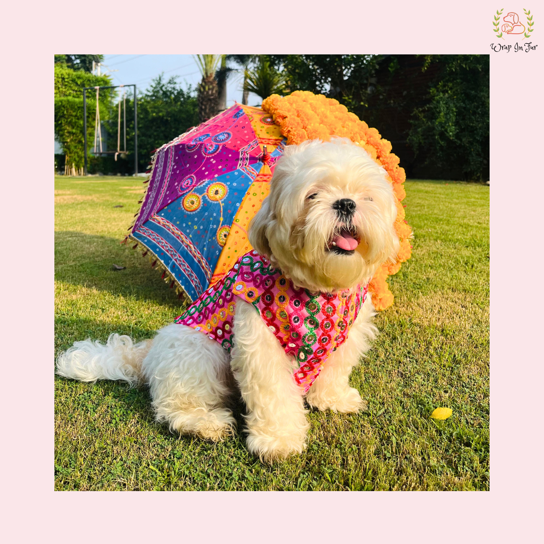 Pink Multicolor Jacket