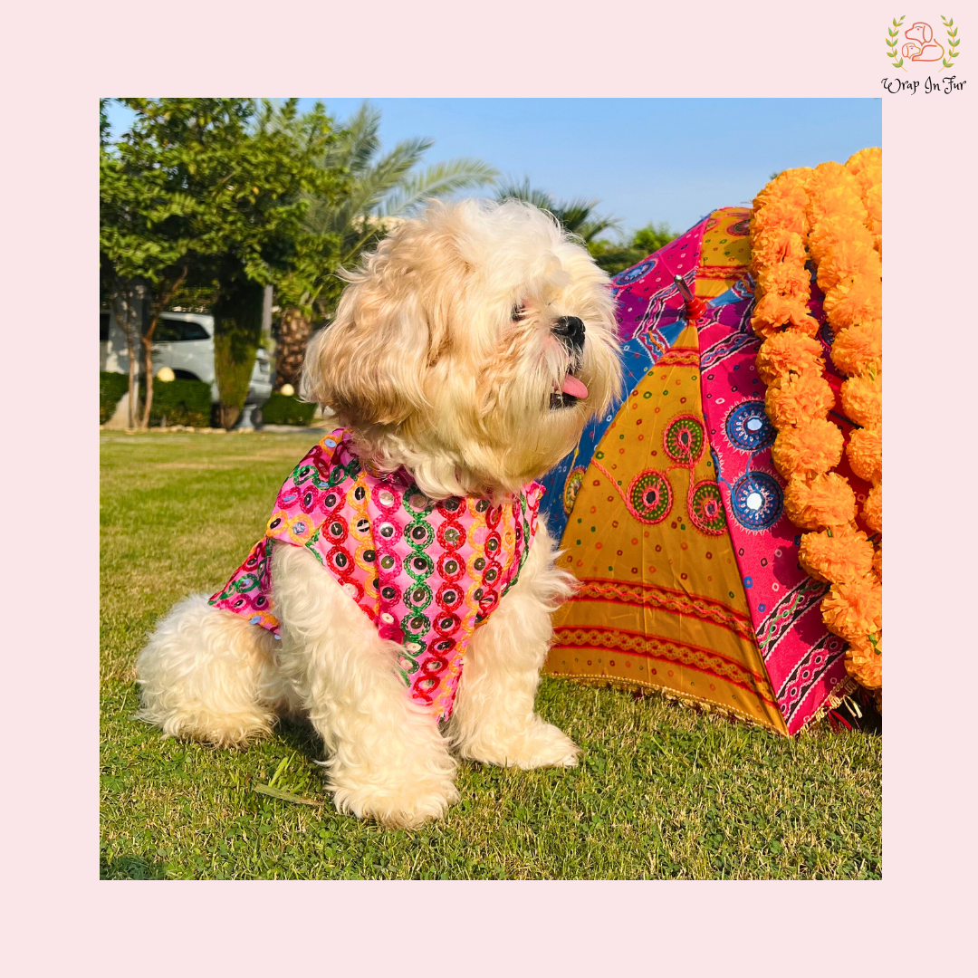 Pink Multicolor Jacket