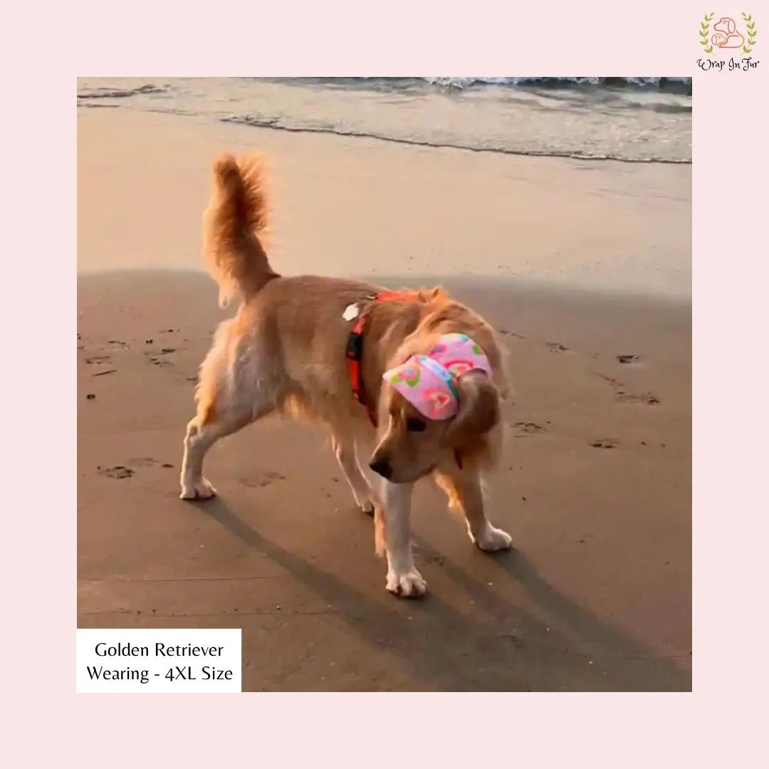 pink neon dog cap for shihtzu