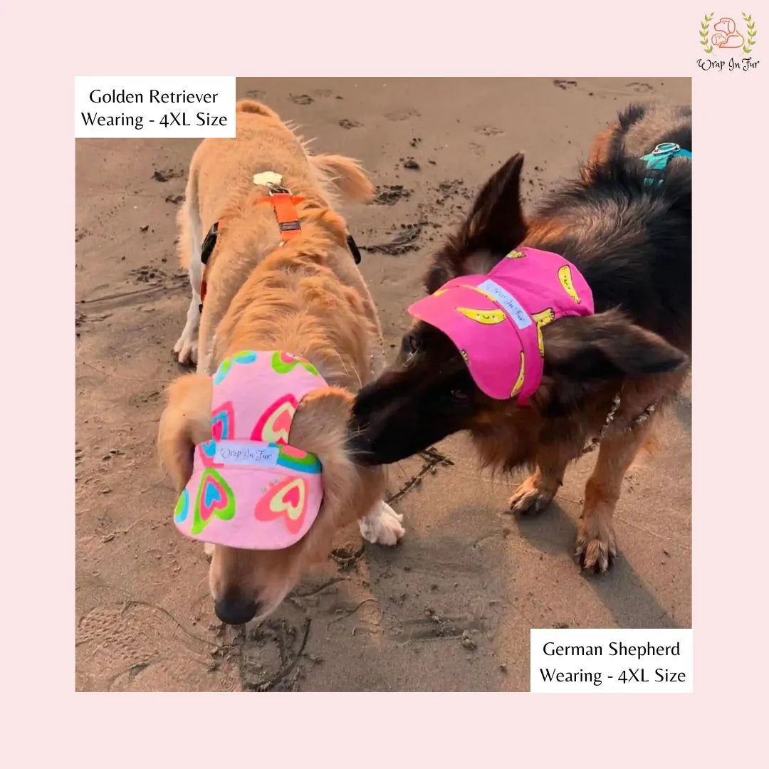 pink neon and banana dog cap