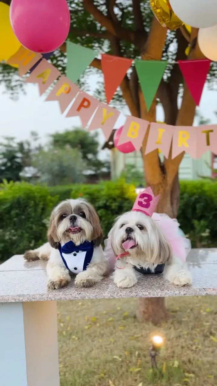 Cotton Candy Birthday Dog Dress