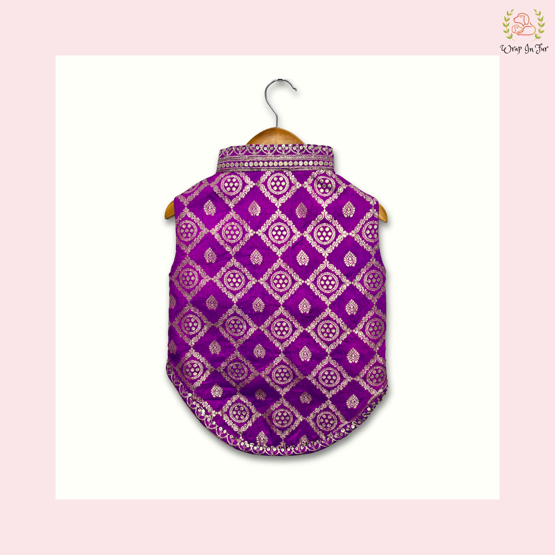 buy Embroidered Dog Sherwani