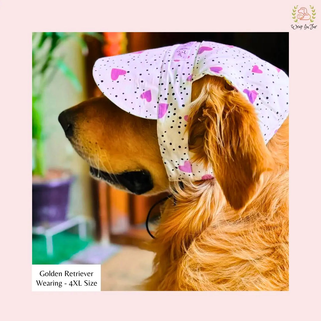 purple heart dog cap for small dog