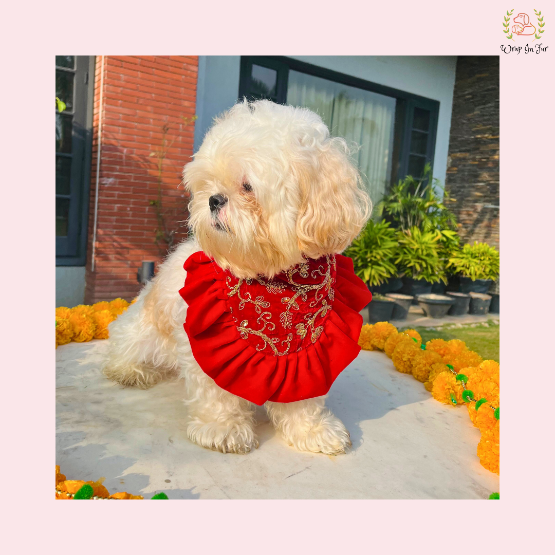 Red Velvet Festive Bandana
