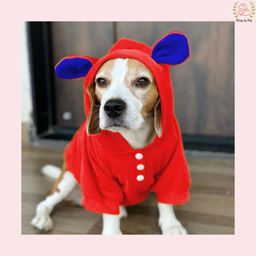 Red Bunny Hoodie