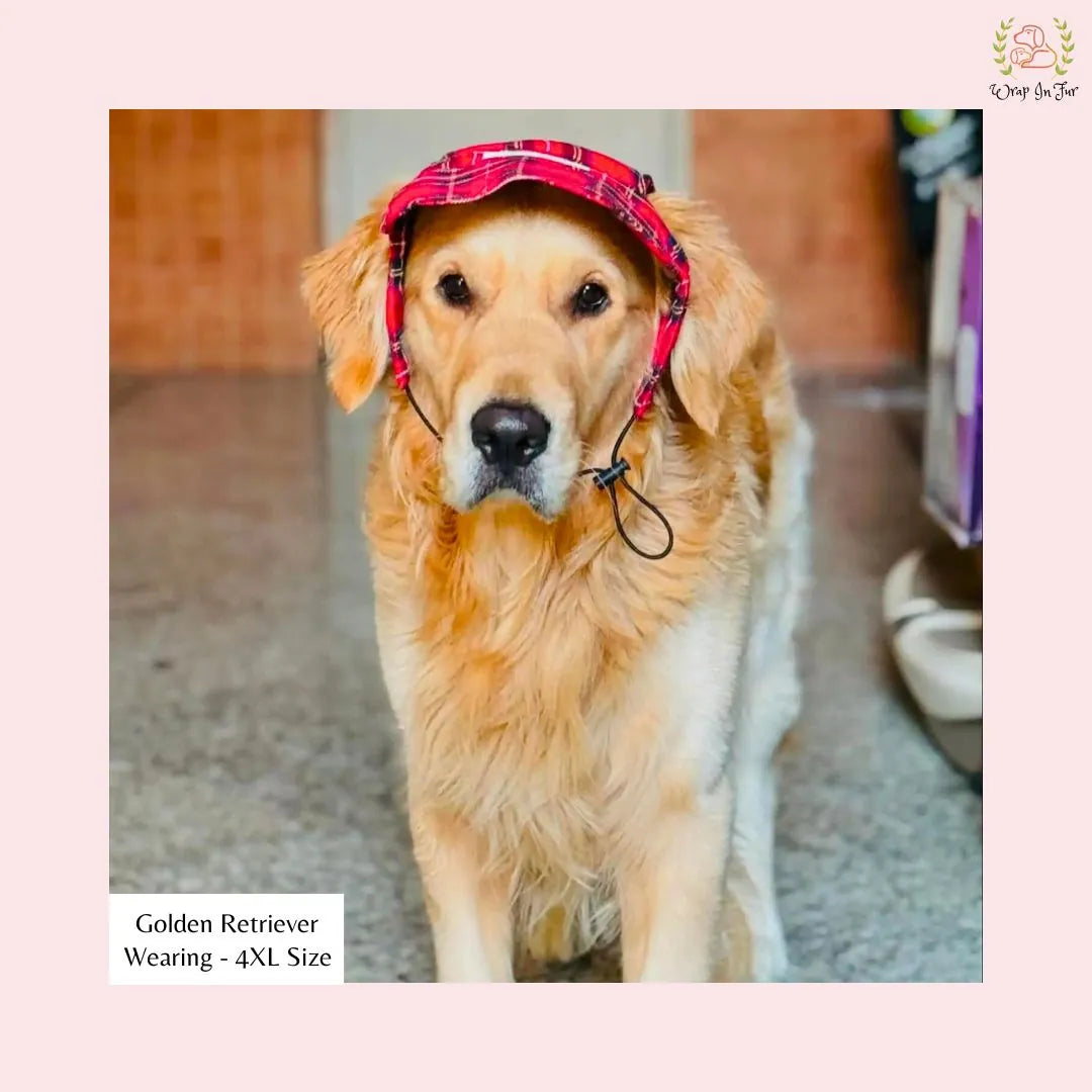 red check dog cap for labrador