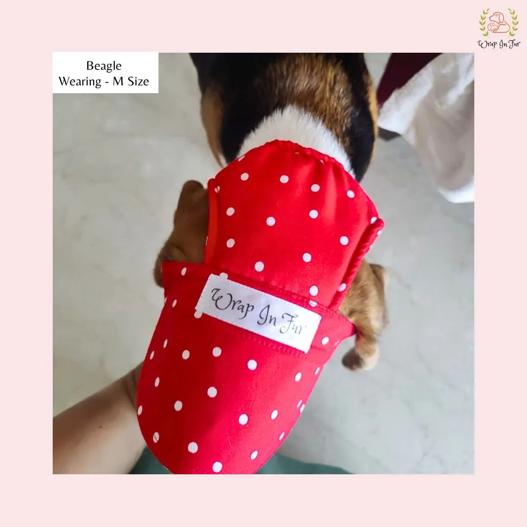 beagle dog cap red polka