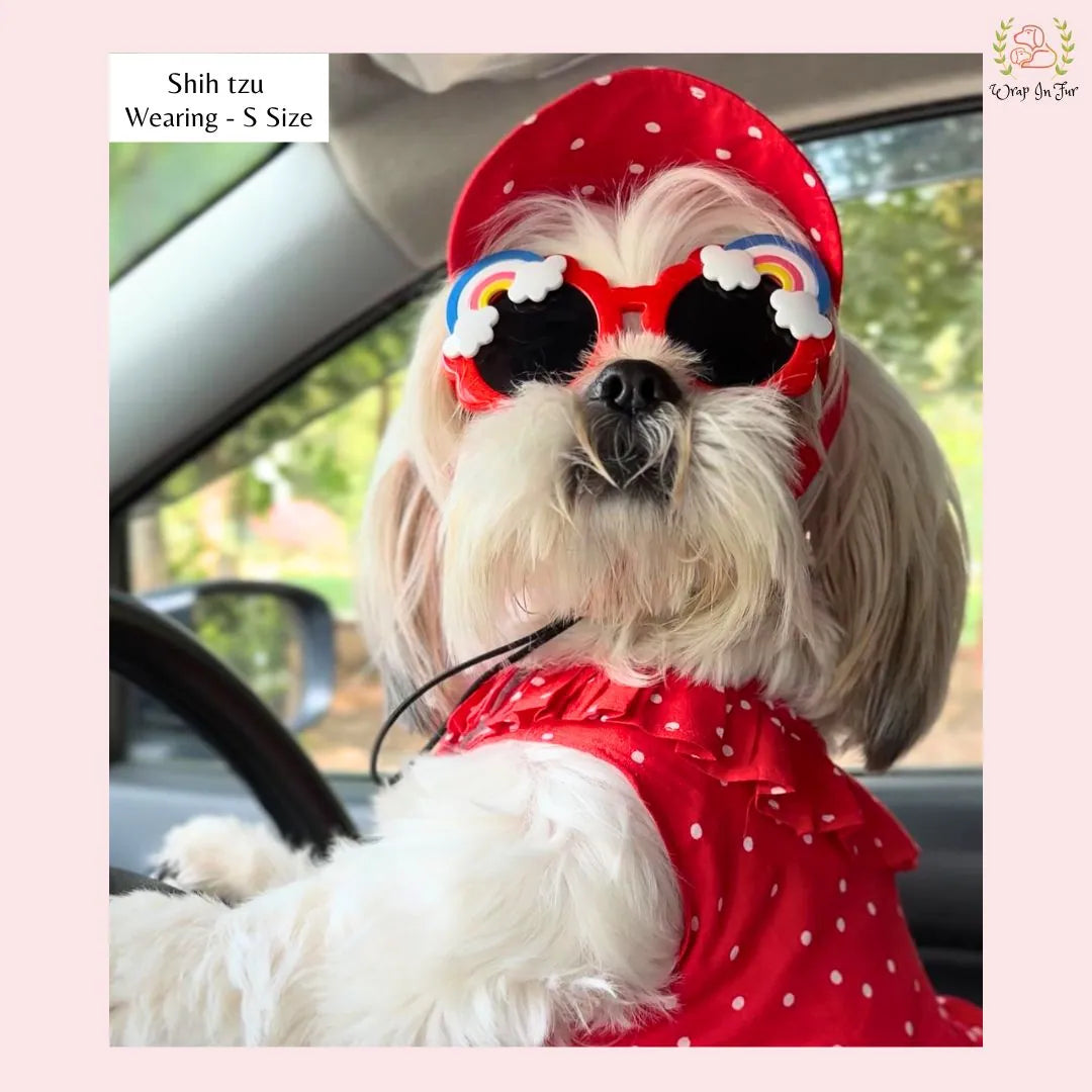 red polka dog cap and frock