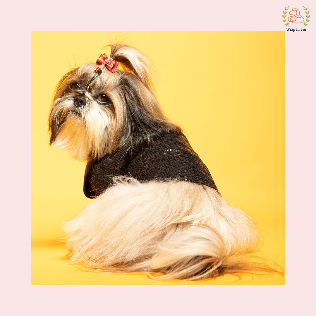 shihtzu black  dog tuxedo