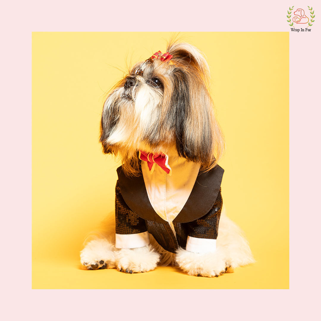 shihtzu black dog tuxedo dress for party online