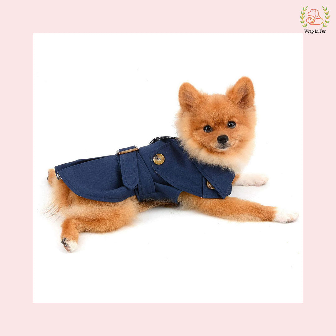 Blue Winter Coat