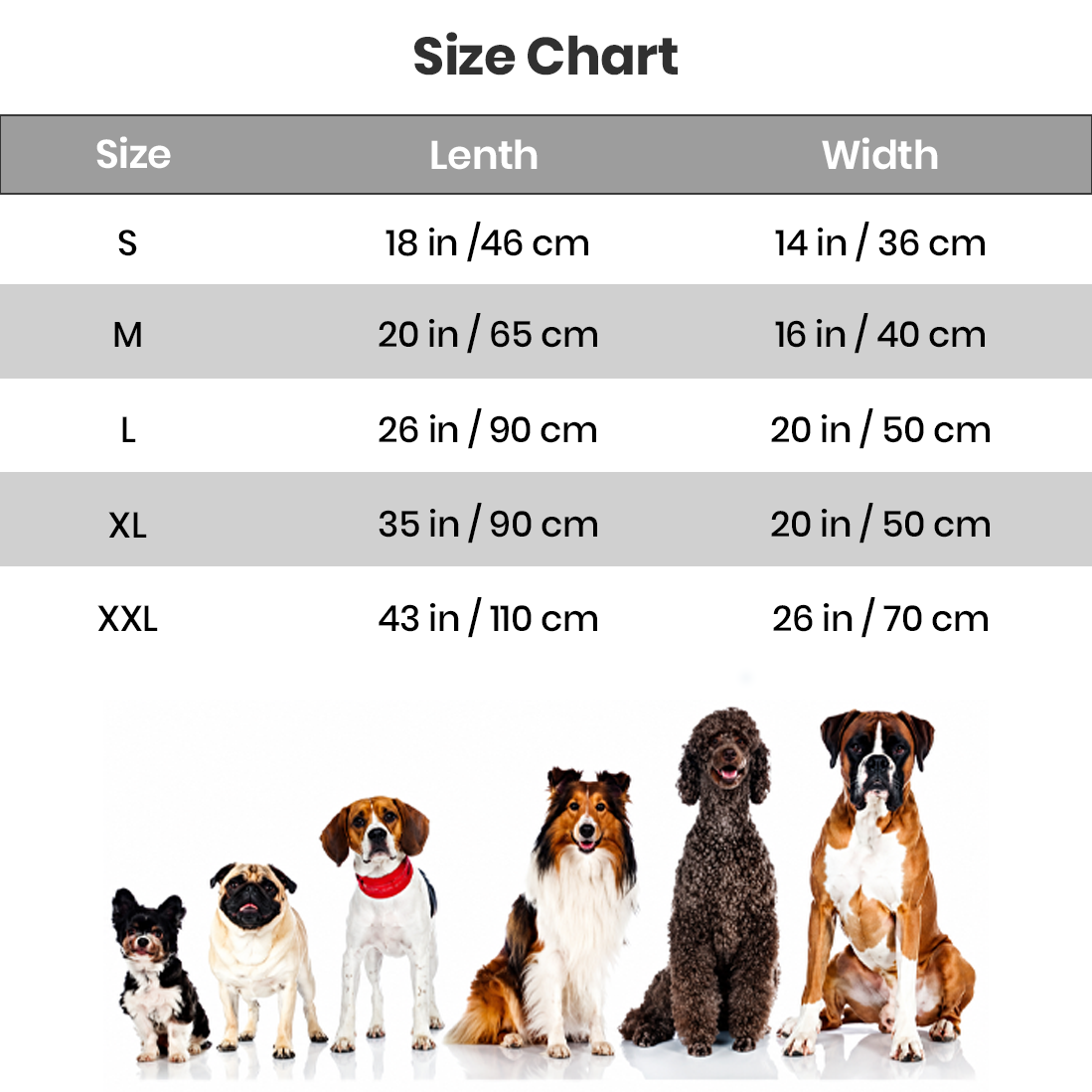 Rainbow Bloom Cooling Mat For Dogs & Cats