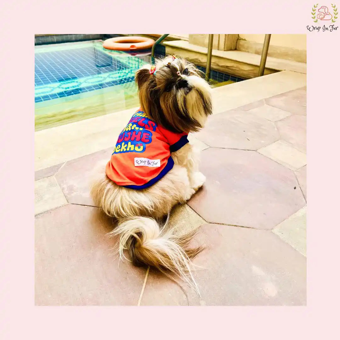 t-shirt for Shih Tzu dog