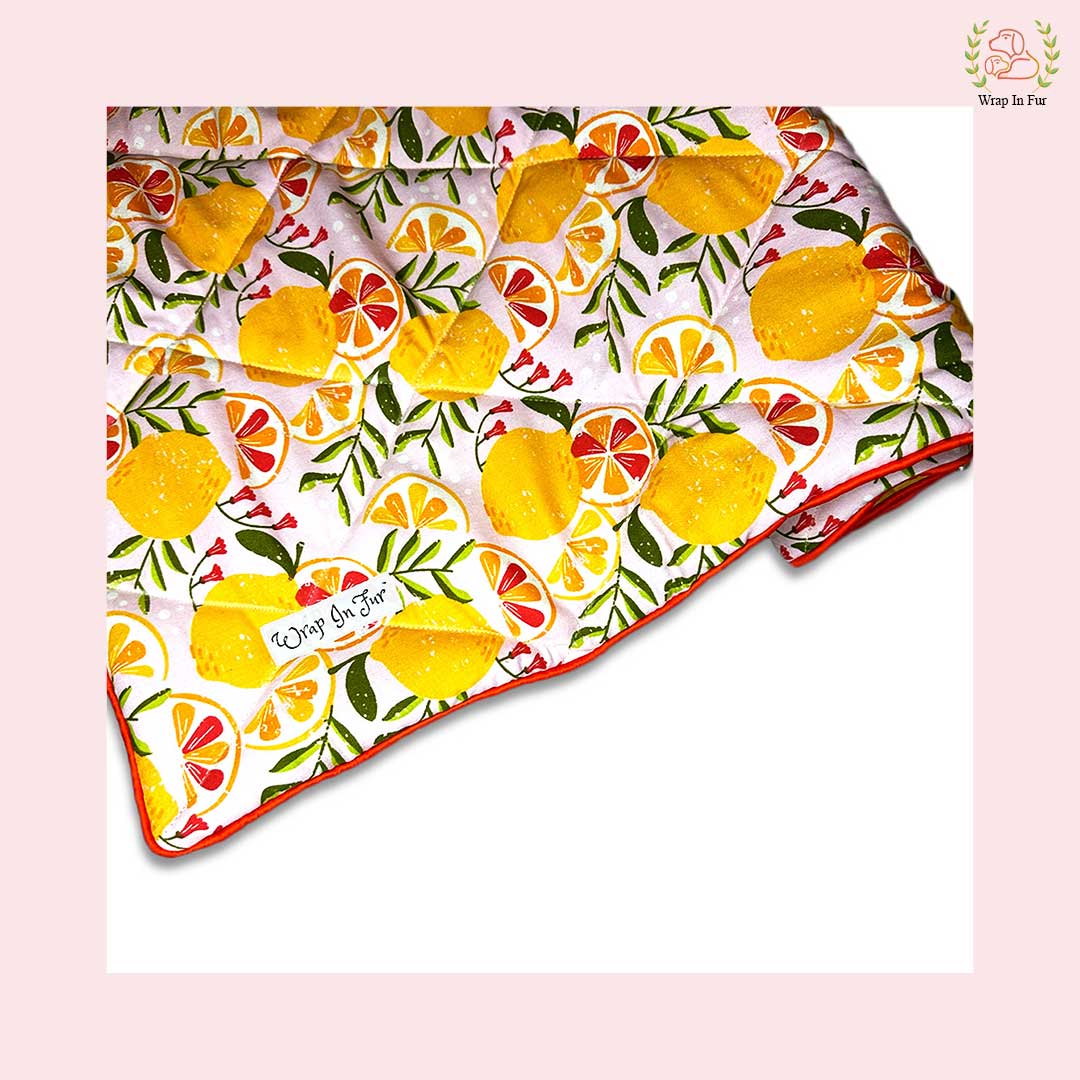 tangy Ac Dog blanket