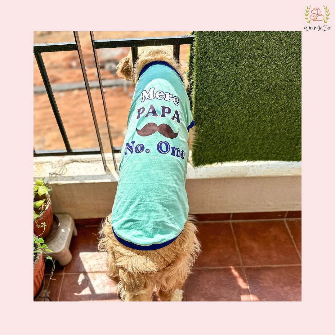 mere papa number one dog tshirt for beagle