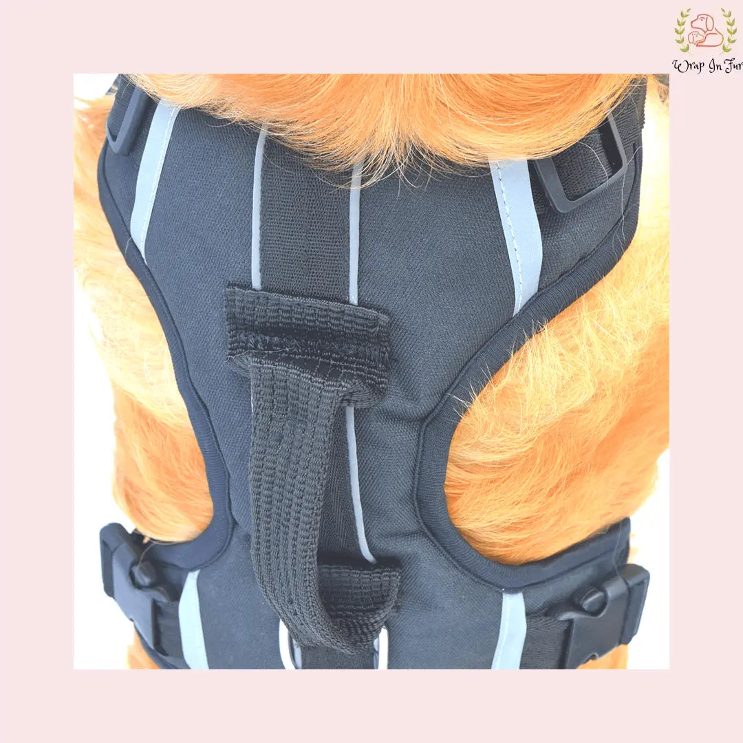 Black Double Sided Dog Harness