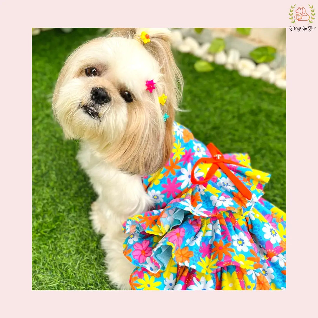 Blossom Frock
