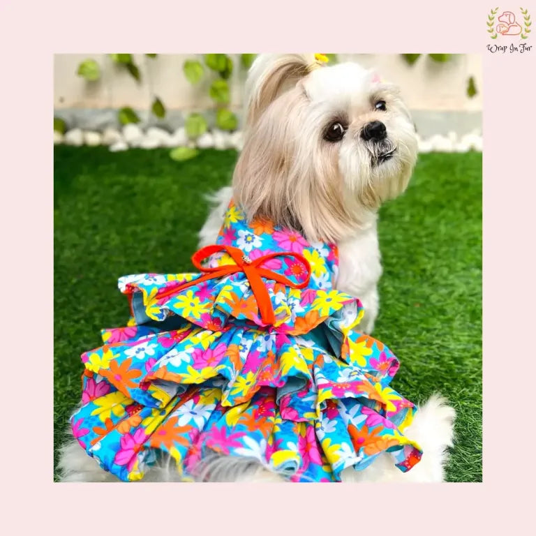 Blossom Frock
