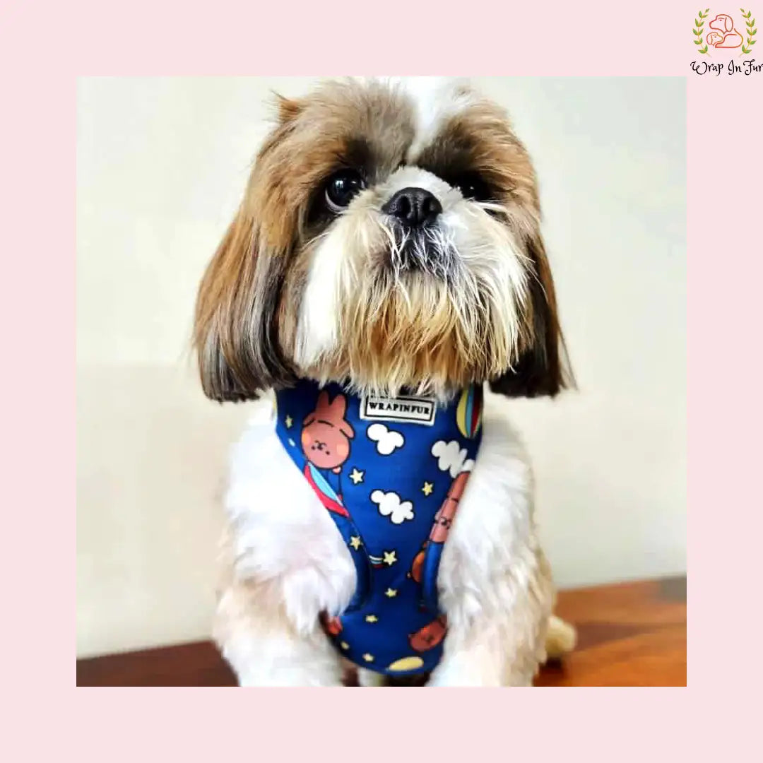 Blue Teddy Reversible Harness
