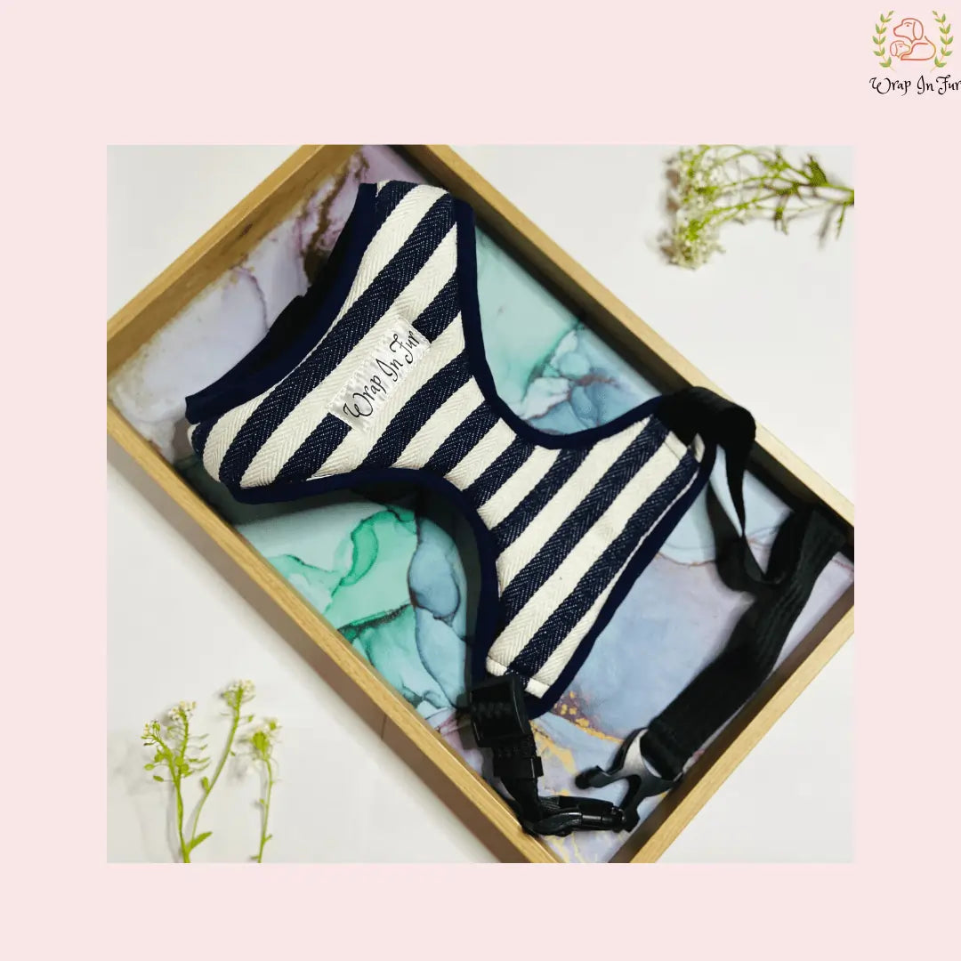 Blue and White Stripe Dog Harness