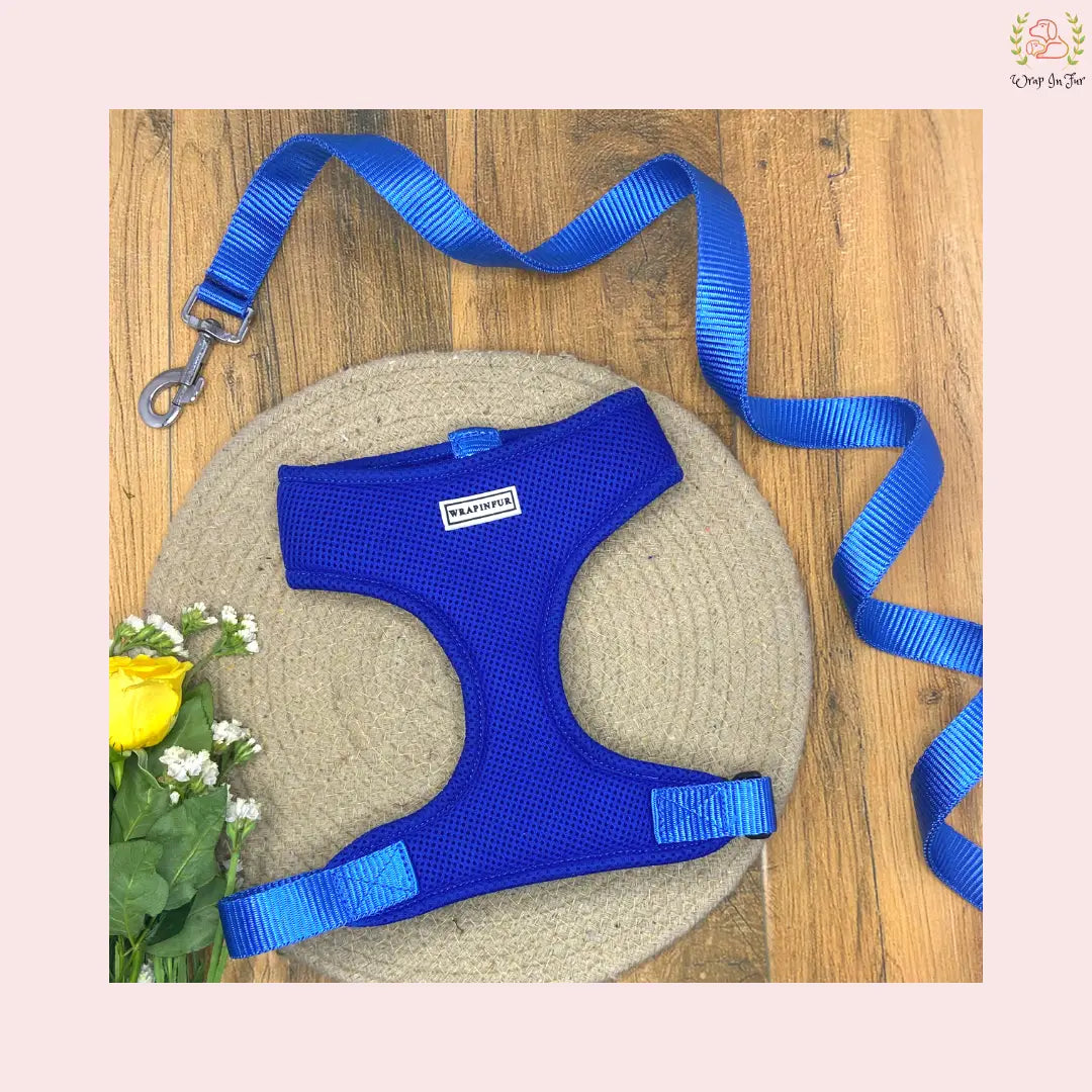 Blue Dog Harness