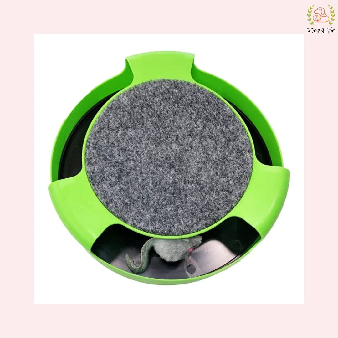 Cat/ Kitten Catch The Moving Interactive Toy