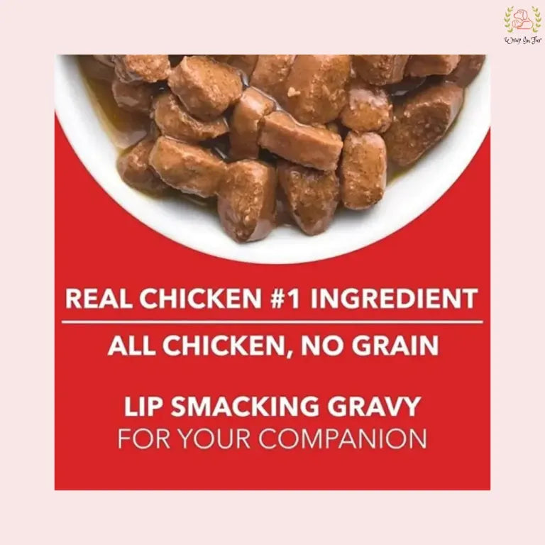 Drools ADULT Chunk in Gravy