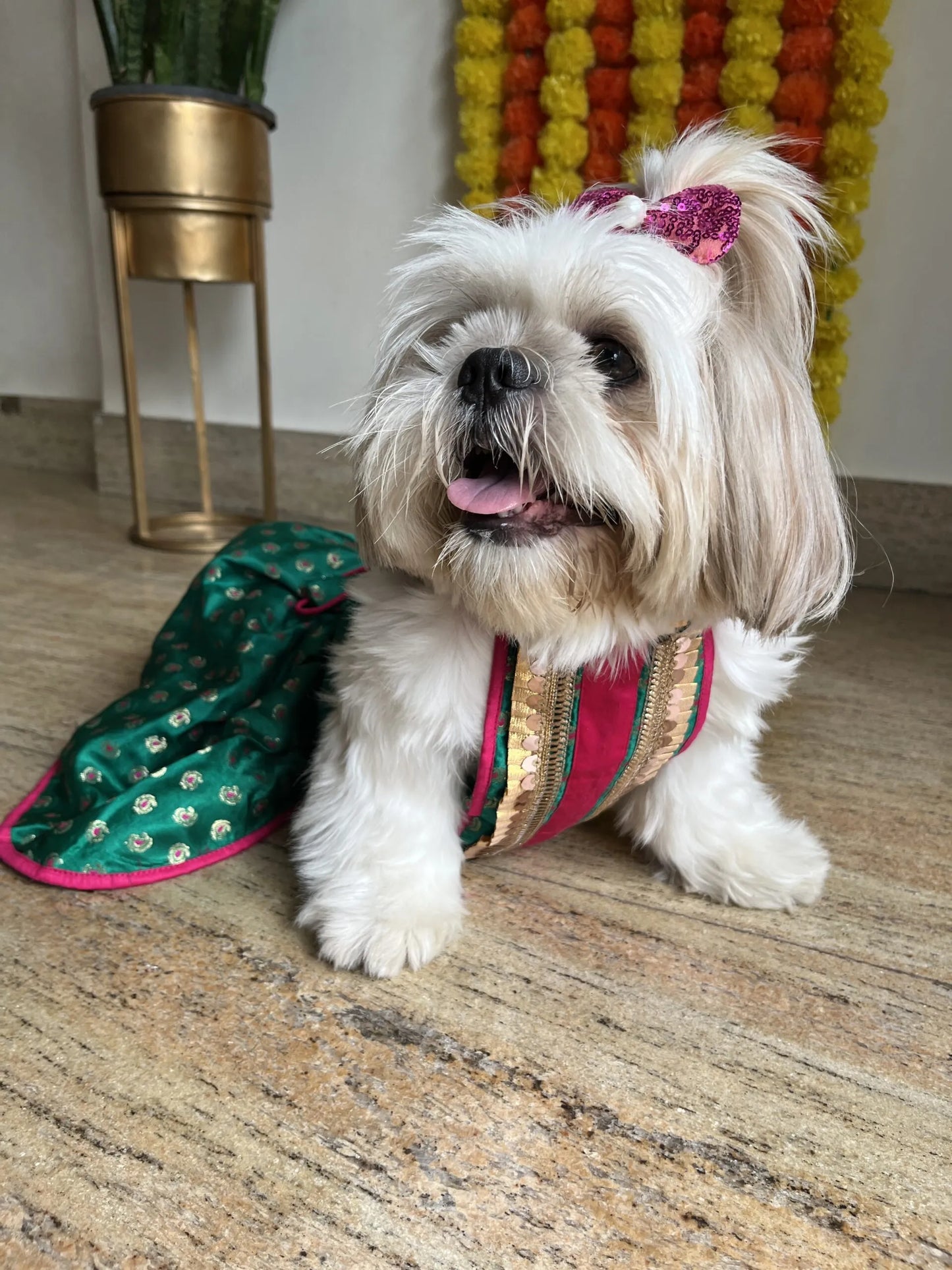 Green dog lehenga for wedding