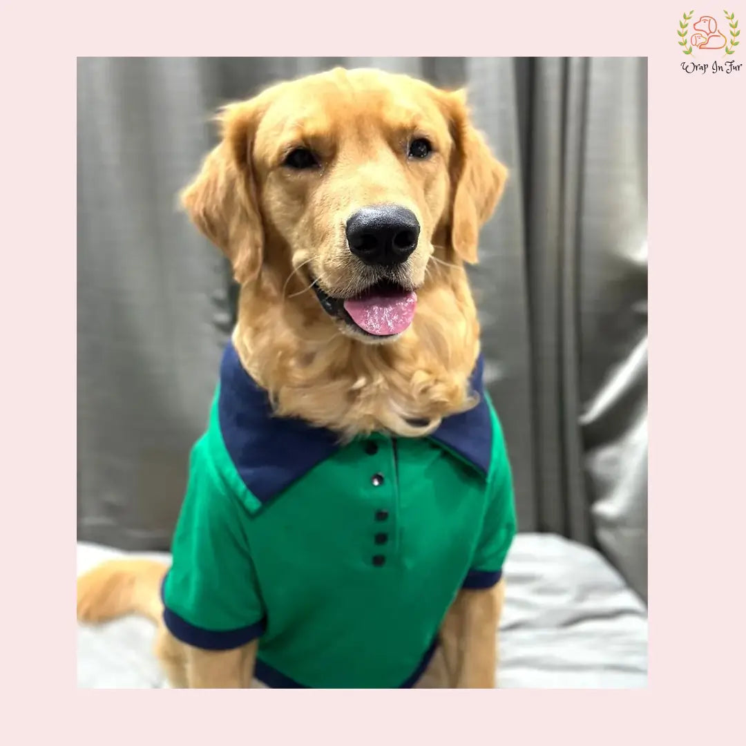Green Polo T-Shirt