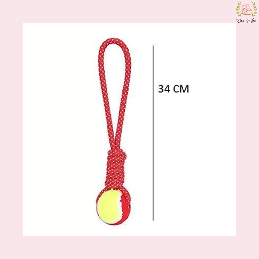 Knotted Rope Toy With Tennis Ball