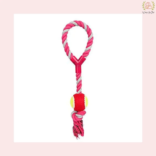 Knotted Cotton Chew Rope Toy