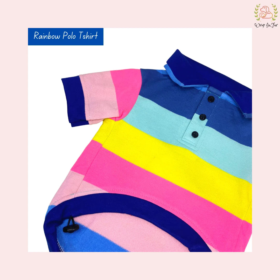 Rainbow Polo Tshirt for Dog Birthday