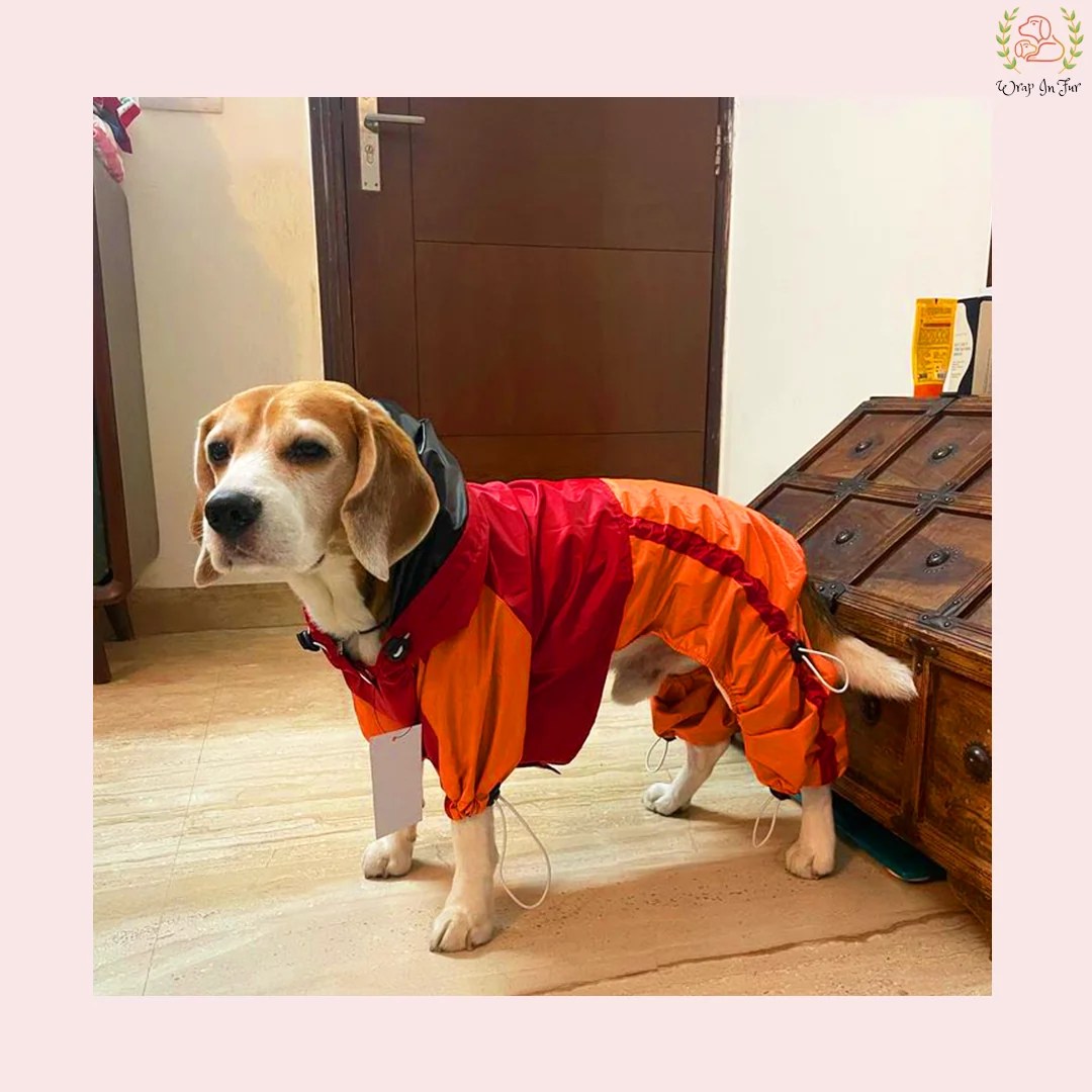 Red Orange Raincoat