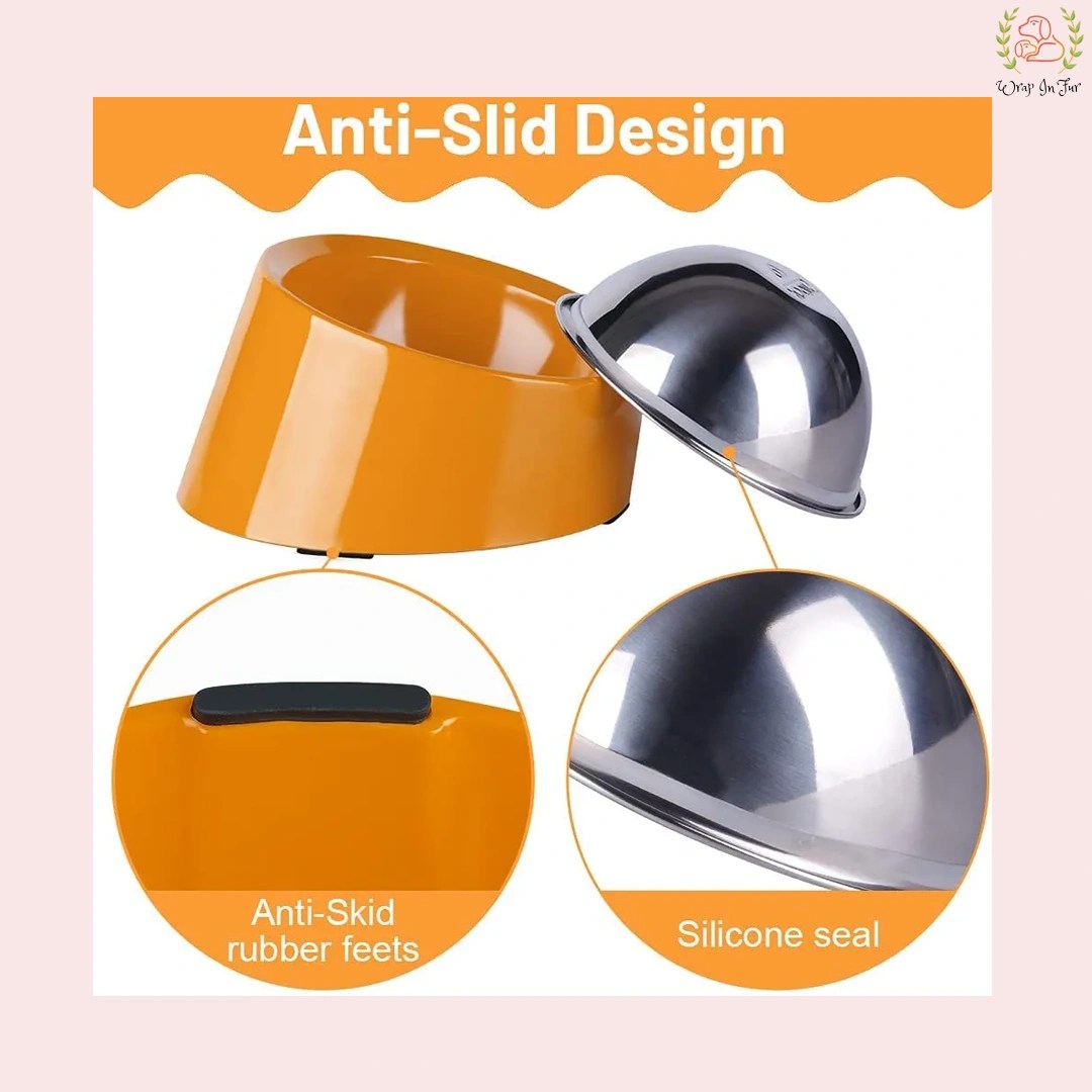 Orange Slanted Dog Bowl