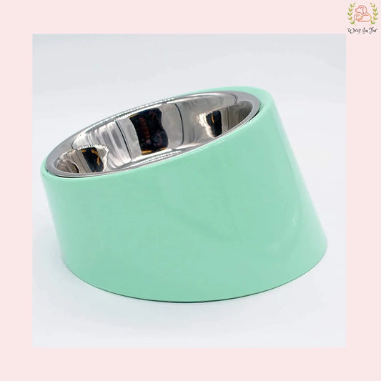 Pastel Green Slanted Dog Bowl