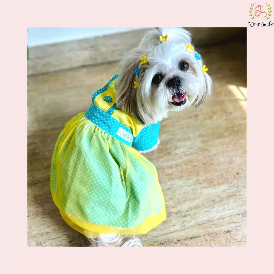 Dot Frock