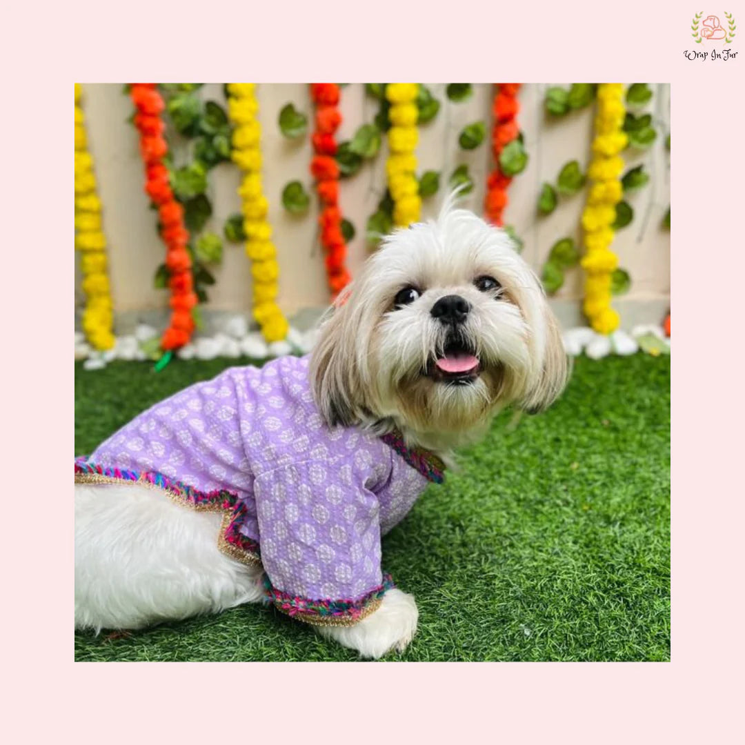 Purple Angarkha Kurta